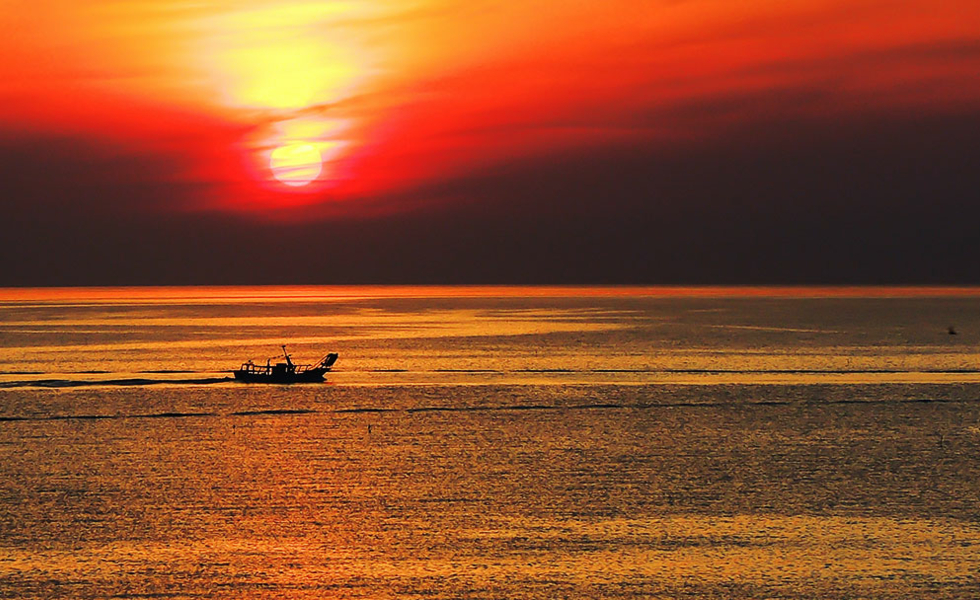 HOTEL VIENNA OSTENDA Rimini