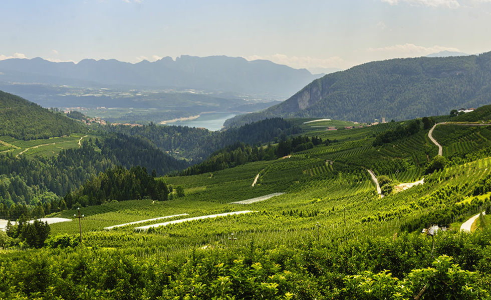 HOTEL STELLA DELLE ALPI Ronzone (TN)