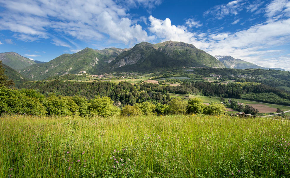 VITAL HOTEL FLORA Stenico
