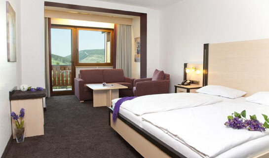 WALDHOTEL WILLINGEN Willingen