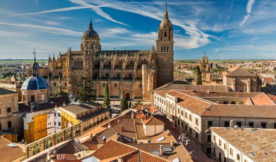 HOTEL HELMÁNTICO Salamanca