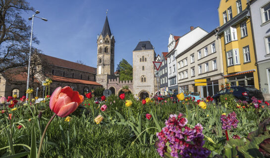 HOTEL ZUR GUTEN QUELLE Brotterode