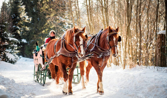 LANDGASTHOF PFERDEKOPPEL  (B&B) Besenfeld