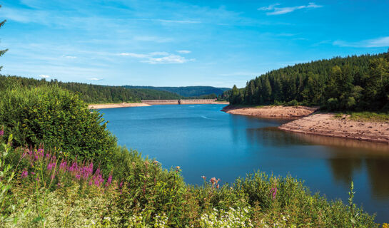 LANDGASTHOF PFERDEKOPPEL  (B&B) Besenfeld