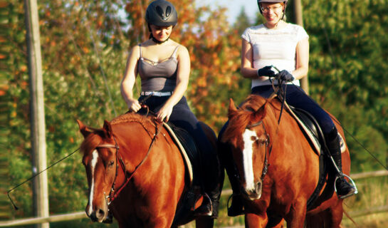 LANDGASTHOF PFERDEKOPPEL  (B&B) Besenfeld