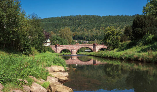 LANDGASTHOF PFERDEKOPPEL  (B&B) Besenfeld
