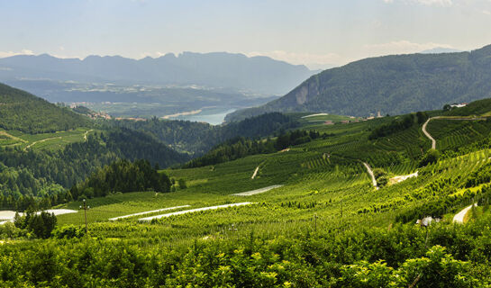 HOTEL STELLA DELLE ALPI Ronzone (TN)