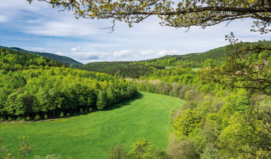 BERGHOTEL MELLENBACH Mellenbach