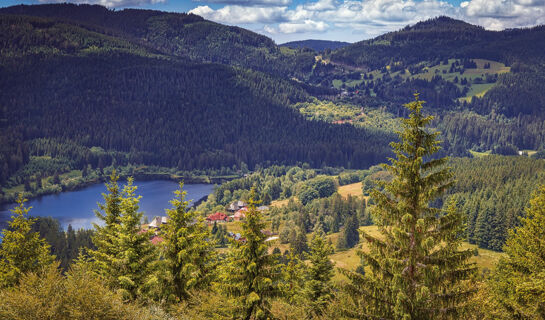 JUFA HOTEL SCHWARZWALD Lenzkirch