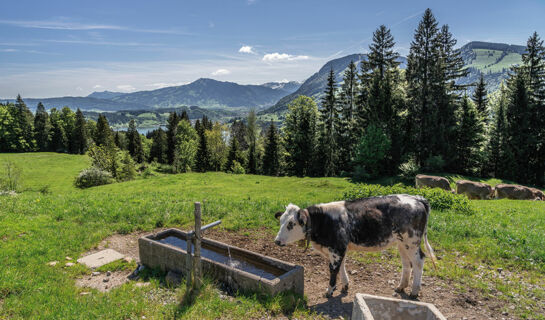 HOTEL RESTAURANT ADLER Oberstaufen