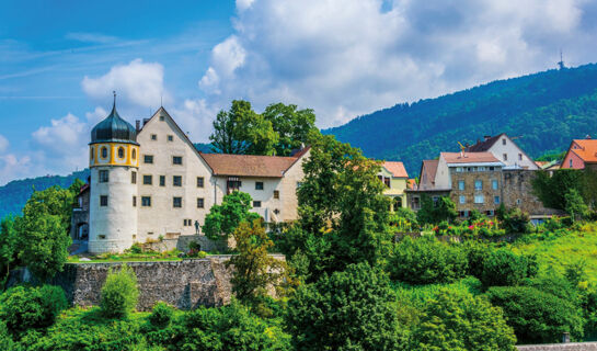 HOTEL GASTHOF ADLER Lingenau