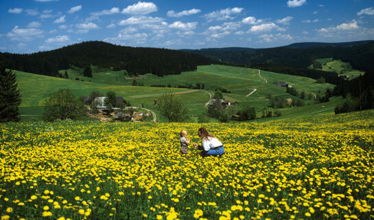 HOTEL WALDECK MIT RESTAURANT FLORIAN'S Feldberg-Altglashütten