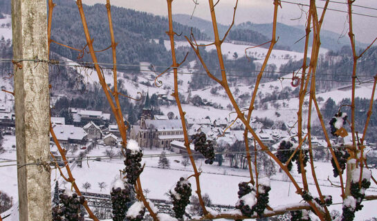 HOTEL HIRSCHEN GLOTTERTAL Glottertal