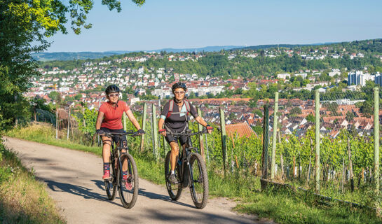 HOTEL-RESTAURANT ZUM TREUEN BARTEL Markgröningen