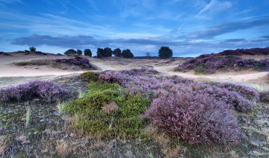 FLETCHER HOTEL-RESTAURANT DE ZEEGSER DUINEN Zeegse