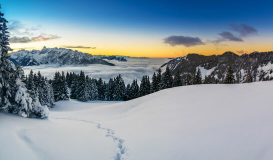 RELAX-UND VITALHOTEL ADLER St.Anton/Montafon