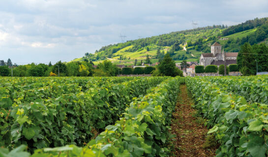 HOSTELLERIE BOURGUIGNONNE (B&B) Verdun-sur-le-Doubs