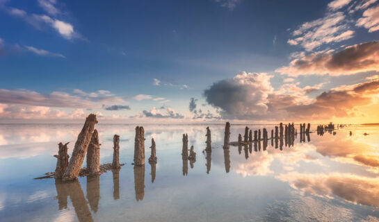 HOTEL WADDENGENOT Pieterburen