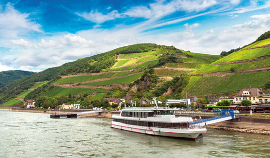 PARK VILLA BAD SALZIG (B&B) Boppard