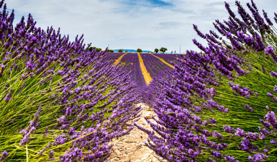 SEVAN PARC HOTEL (B&B) Pertuis
