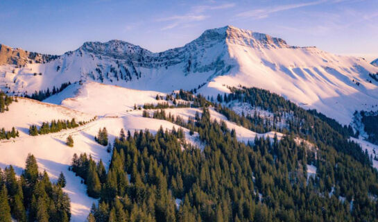 BOUTIQUE HÔTEL CORBETTA (B&B) Les Paccots