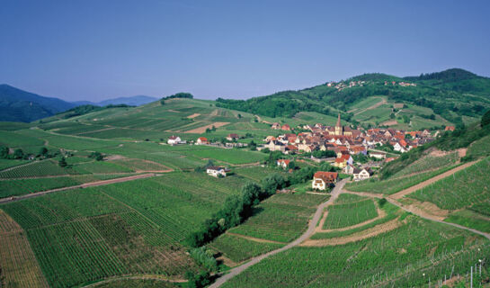 L'ALEXAIN Trois-Epis