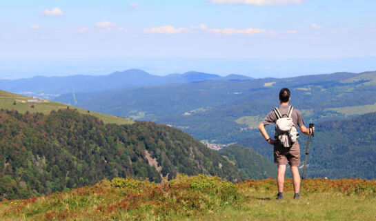 LA PERLE DES VOSGES Muhlbach-sur-Munster