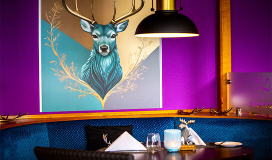 WALDHOTEL BÄRENSTEIN Horn-Bad Meinberg