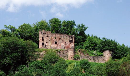 HOTEL GASTHOF ZUR KRONE Oberzent