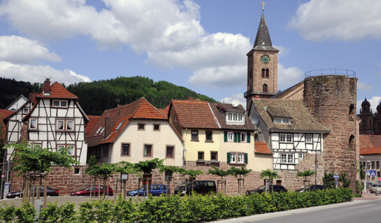 GASTHOF-PENSION ZUR TRAUBE Finkenbach