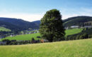 WALDHOTEL WILLINGEN Willingen