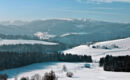 FERIENHOTEL SCHWARZWÄLDER HOF Feldberg-Altglashütten