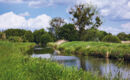 LAND-GUT-HOTEL WEISSER SCHWAN Zossen