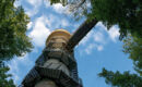 GASTHOF & PENSION EICHENHOF (B&B) Bad Langensalza