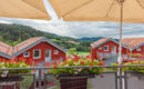 VILLAGE HOTEL BAYERISCHER WALD Neukirchen (BA)