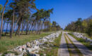 RESORT KRÓL PLAZA - WELLNESS & SPA Jaroslawiec