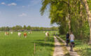 RESORT BAD BOEKELO Enschede
