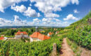 LANDHOTEL GASTHAUS LOCKWITZGRUND Altenberg