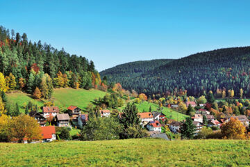 HOTEL SCHWARZWALDHOF Enzklösterle