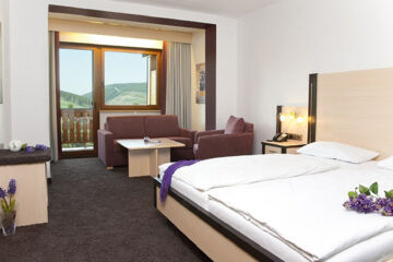 WALDHOTEL WILLINGEN Willingen