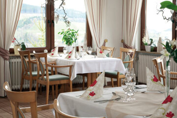 WALDHOTEL WILLINGEN Willingen