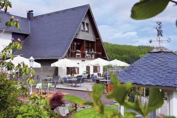 WALDHOTEL WILLINGEN Willingen