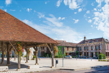 HOTEL RESTAURANT LE TADORNE Piney