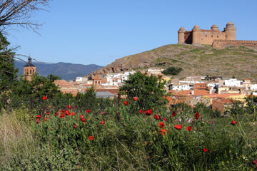 HOTEL HOSPEDERIA DEL ZENETE Calahorra