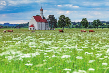 LANDGASTHOF ZUM GOLDENEN SCHWANEN Mauerstetten