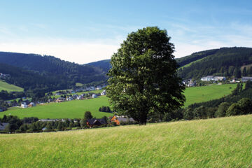 WALDHOTEL WILLINGEN Willingen