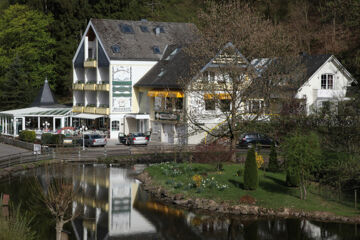 HOTEL AM SCHWANENWEIHER Bad Bertrich