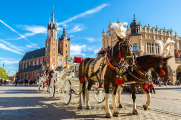 CROWN PIAST HOTEL & SPA Cracovia