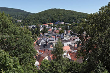 ELAYA HOTEL FRANKFURT OBERURSEL Oberursel