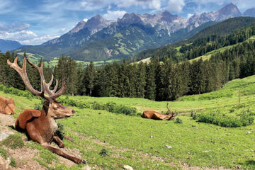 HOTEL DER ALMHOF Maria Alm